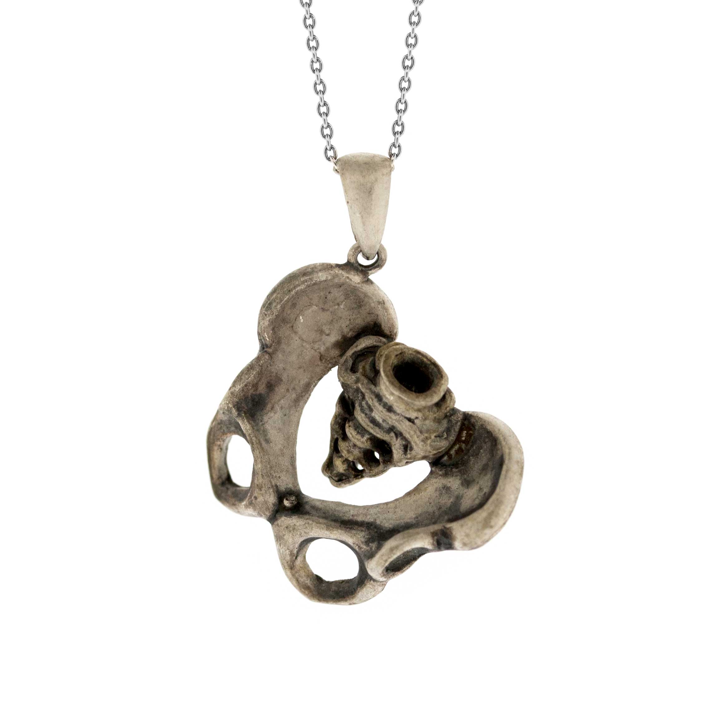 Tooth and Claw Human Pelvis Pendant